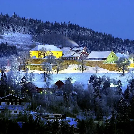 Castle & Отель Конгсвингер