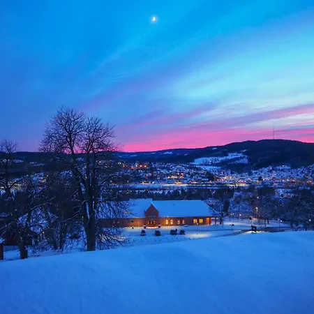 Hotel Castle & Kongsvinger